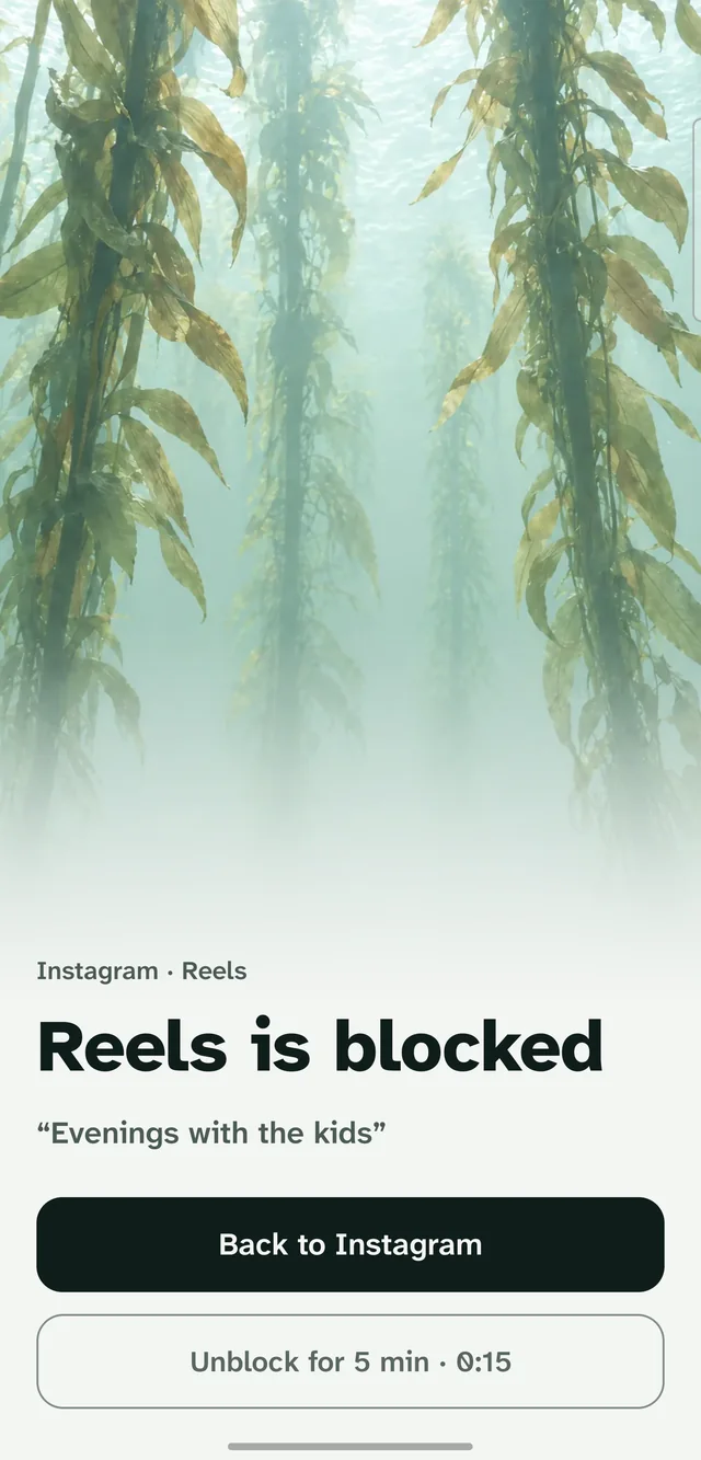 Holdfast's block screen over Instagram Reels: a calm kelp picture, the person's own reason, a Back to Instagram button and an Unblock for 5 minutes button with a short countdown.