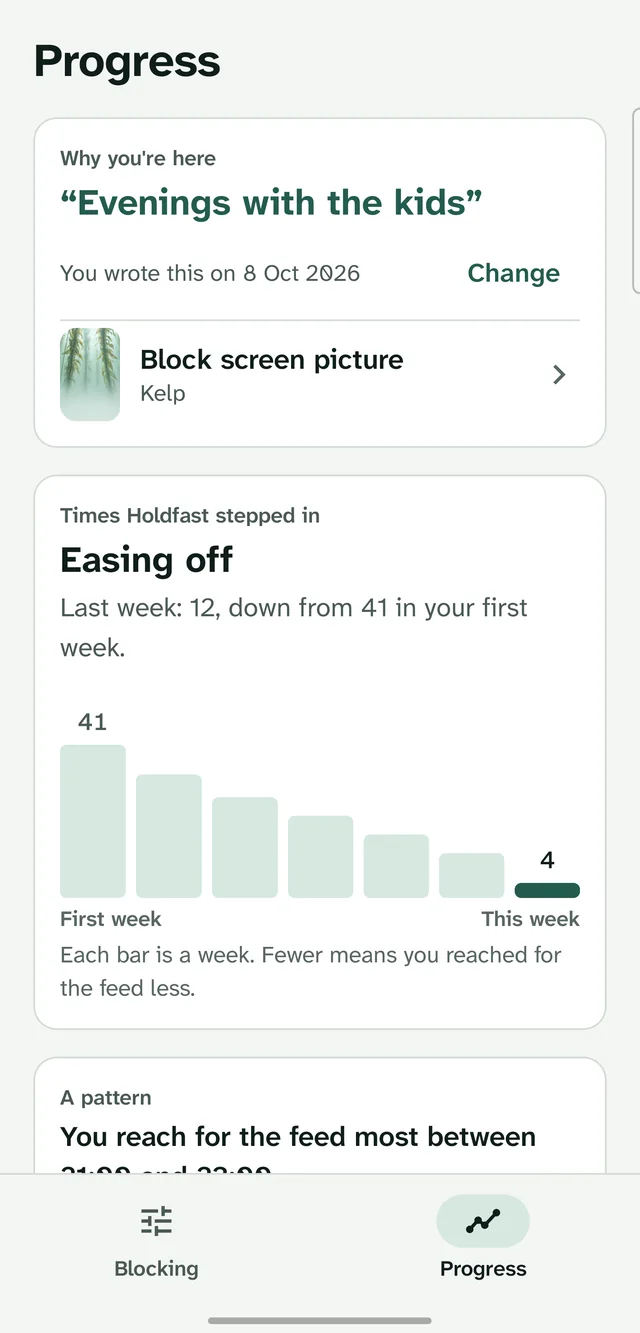 Holdfast's Progress page with example data: a weekly bar chart easing from 41 times in the first week to 4 this week.